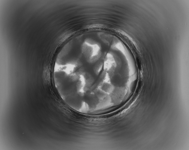 X0000096380921200802211118