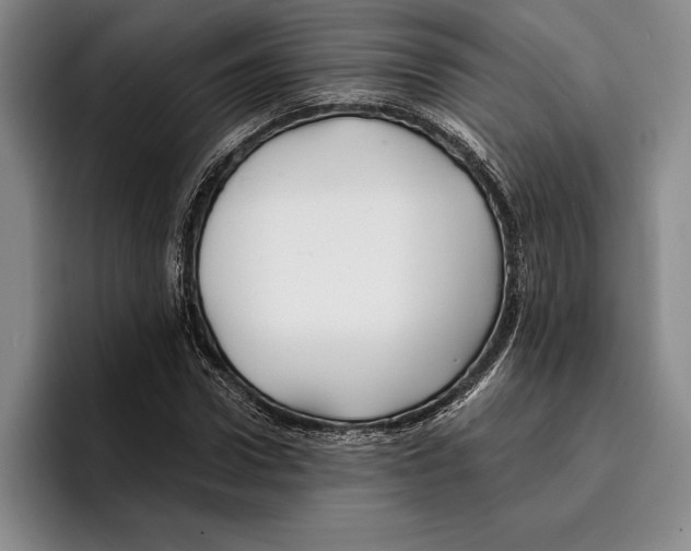 X0000096380922200802211118