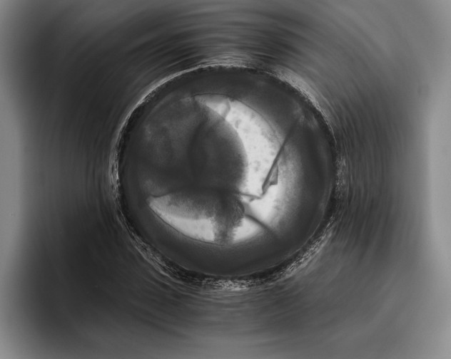 X0000096380923200802211118