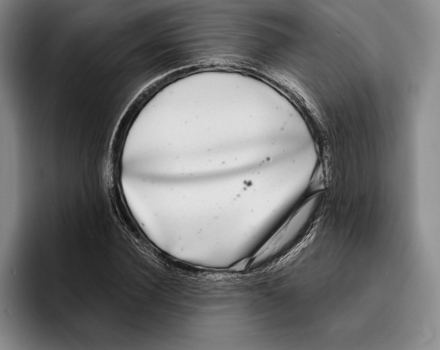 X0000096380924200802211118