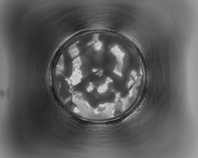 X0000096380925200802211118