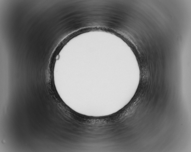 X0000096380927200802211118