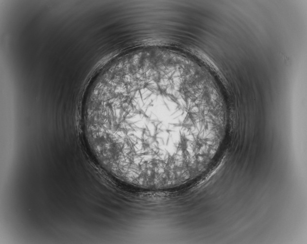 X0000096380930200802211118