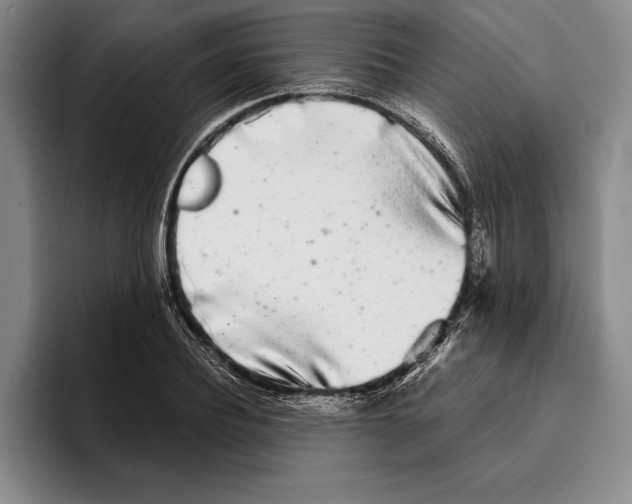 X0000096380932200802211118