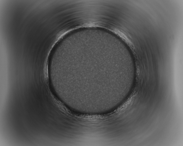 X0000096380934200802211118