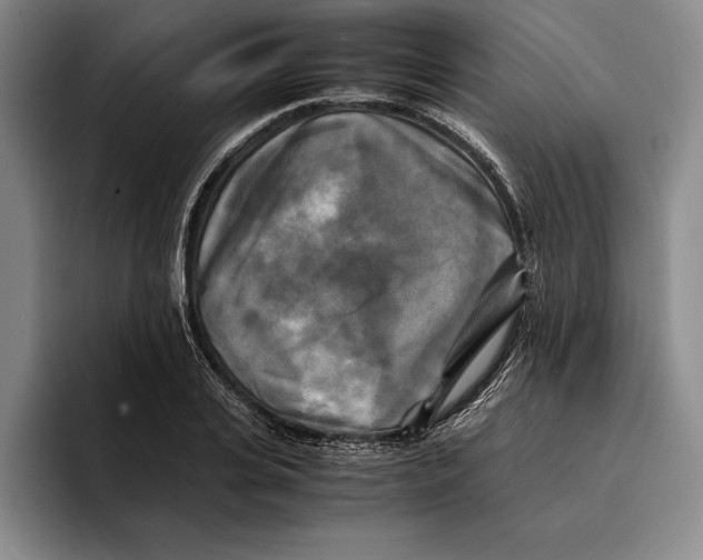 X0000096380935200802211118