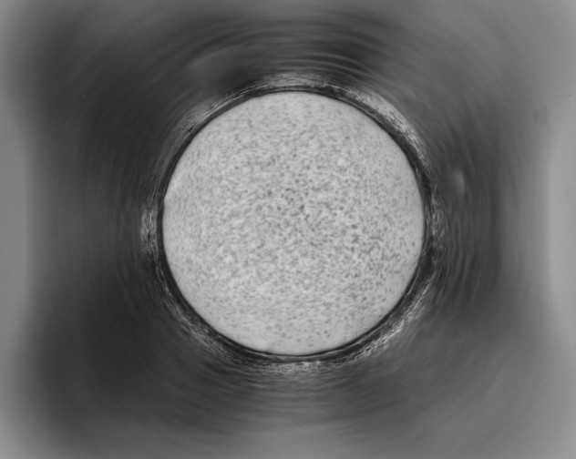 X0000096380937200802211118