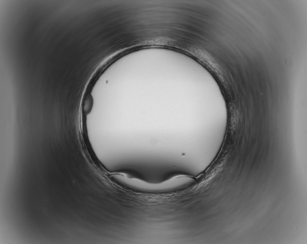 X0000096380940200802211118