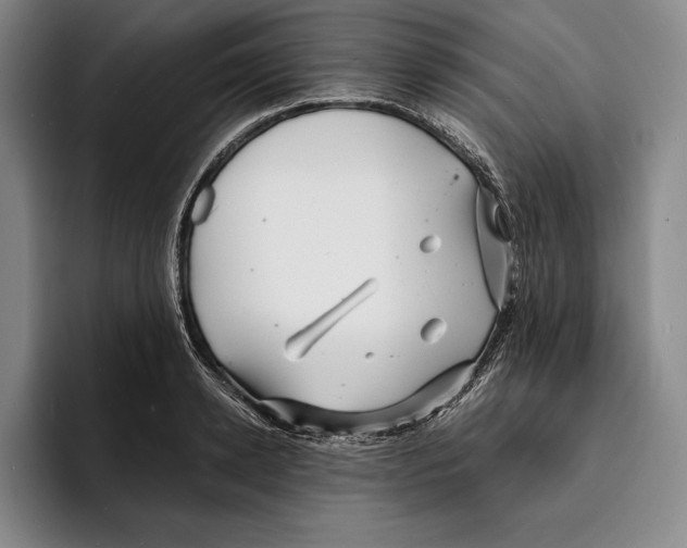 X0000096380942200802211118