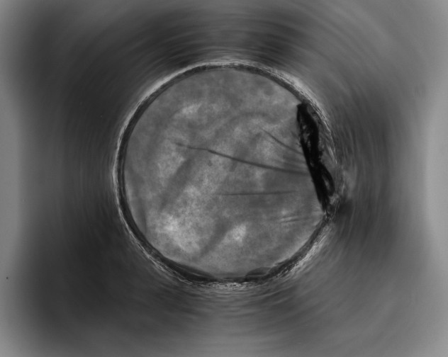 X0000096380943200802211118