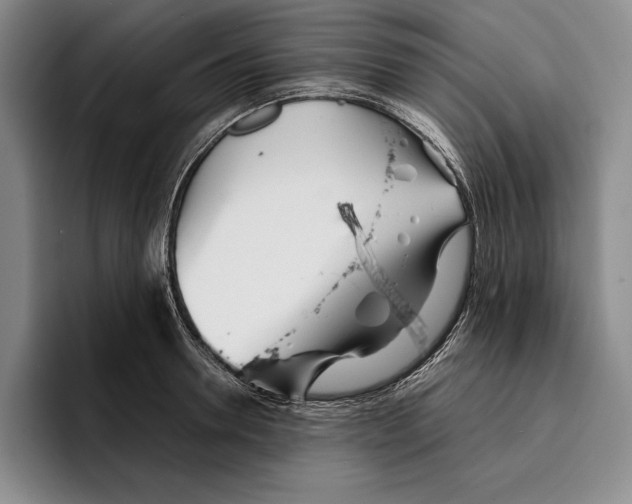 X0000096380946200802211118