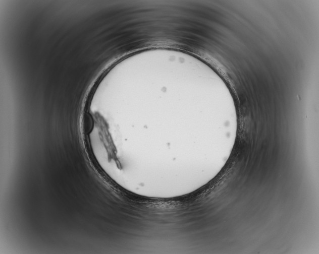 X0000096380947200802211118