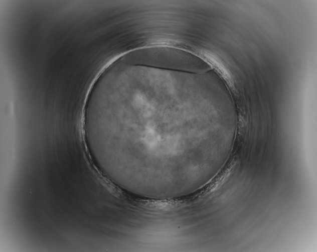 X0000096380948200802211118