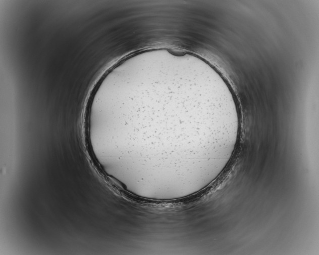 X0000096380949200802211118