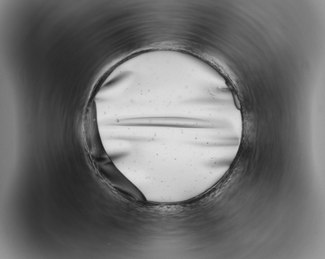 X0000096380952200802211118