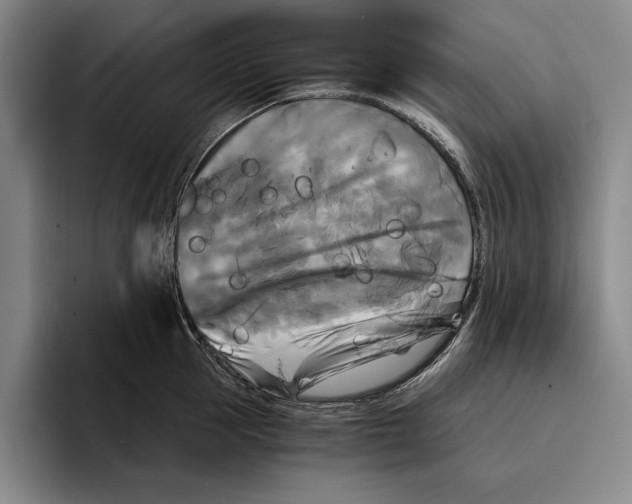 X0000096380953200802211118