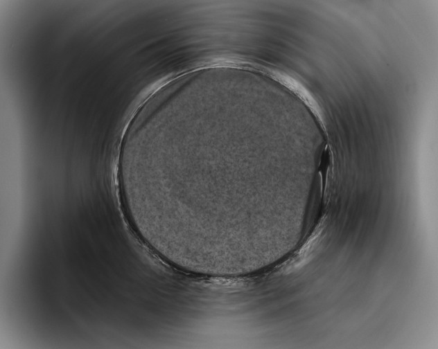 X0000096380954200802211118