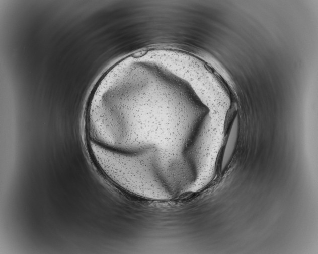 X0000096380955200802211118