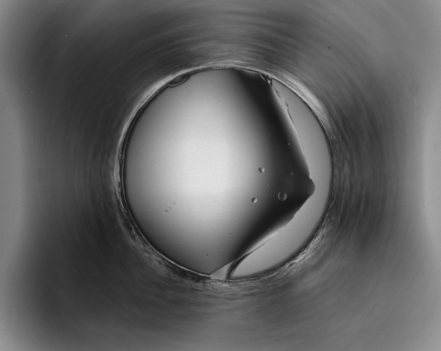 X0000096380956200802211118