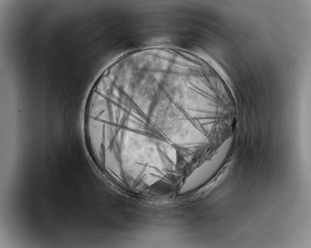 X0000096380957200802211118