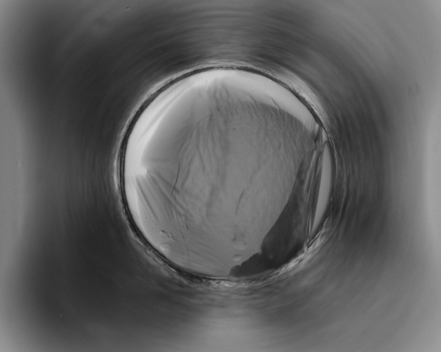 X0000096380958200802211118