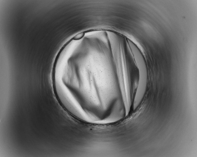 X0000096380959200802211119