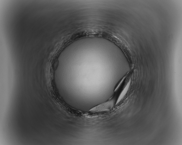 X0000096380961200802211118