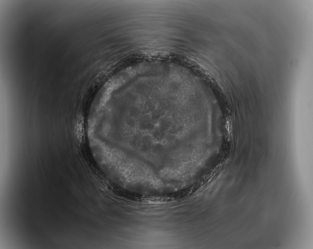 X0000096380963200802211118