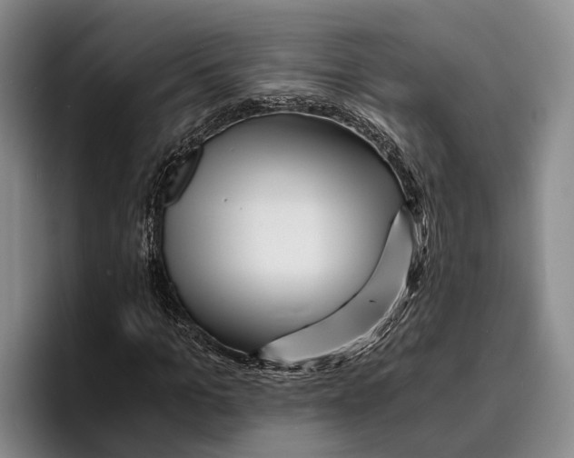 X0000096380965200802211118