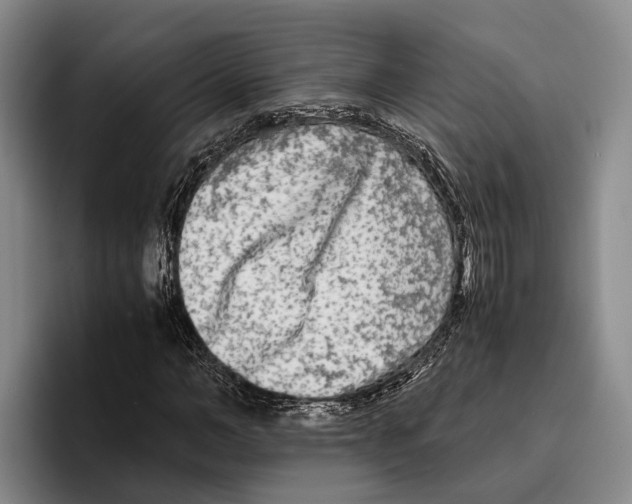 X0000096380966200802211118