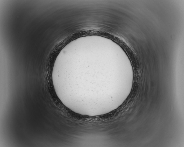 X0000096380967200802211118