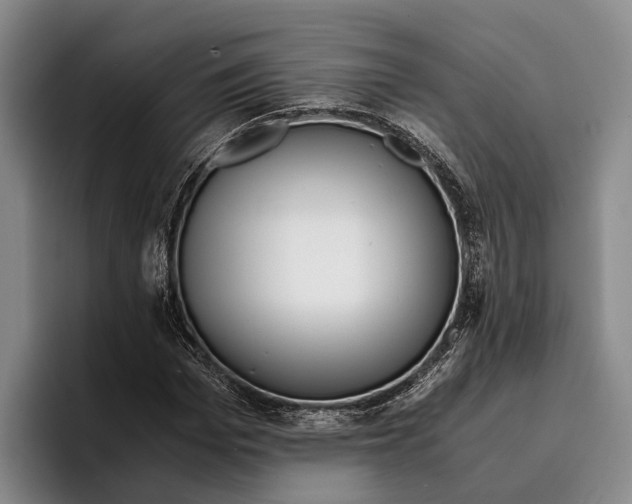 X0000096380969200802211118