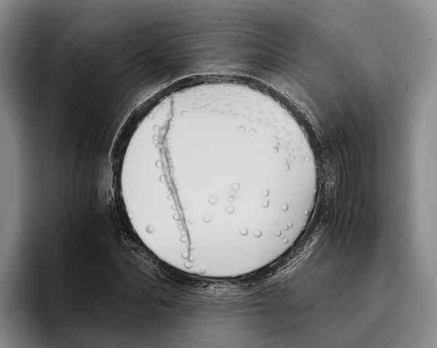 X0000096380974200802211118