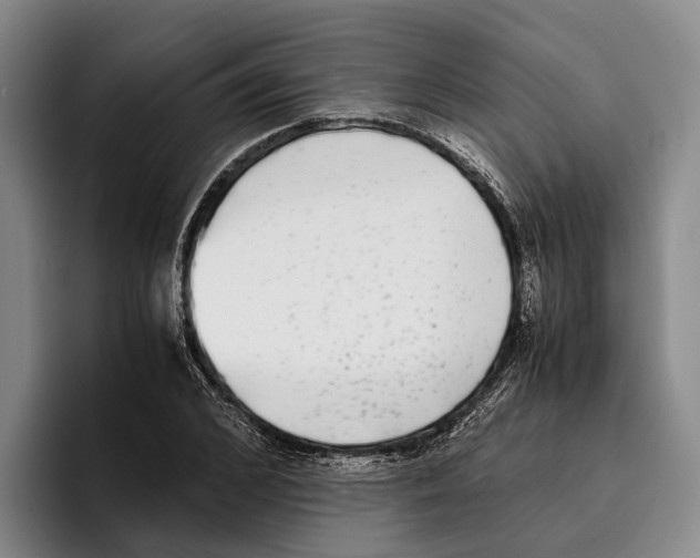 X0000096380976200802211118