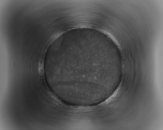 X0000096380977200802211118