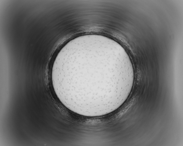 X0000096380978200802211118