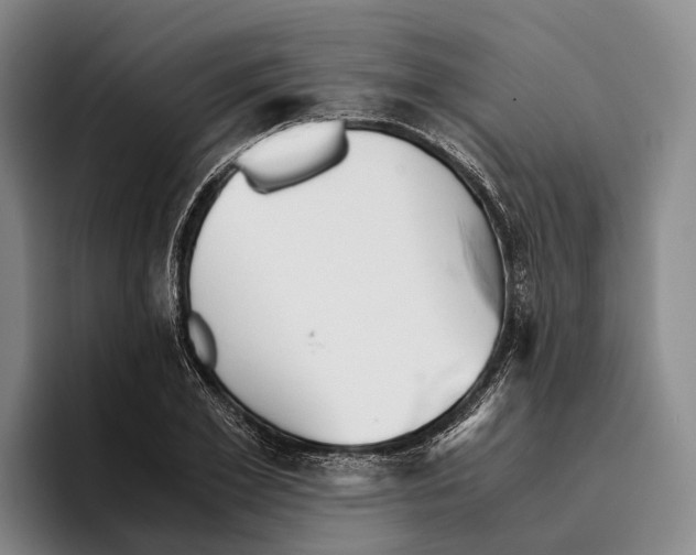 X0000096380981200802211118