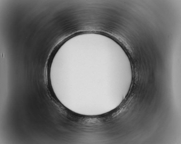 X0000096380982200802211118