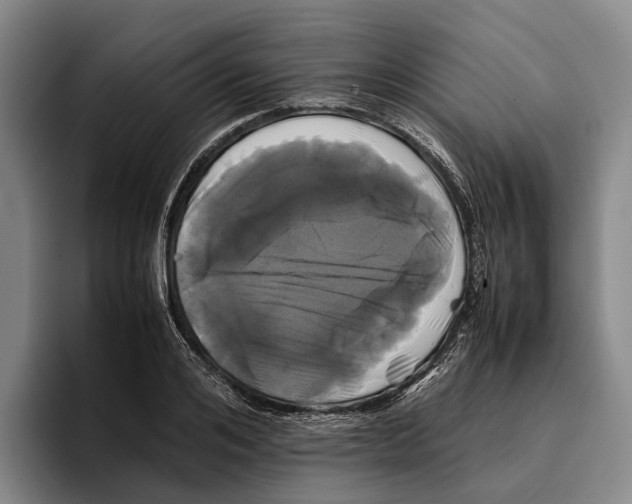 X0000096380984200802211118