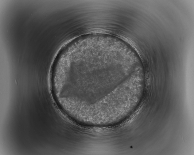 X0000096380987200802211118