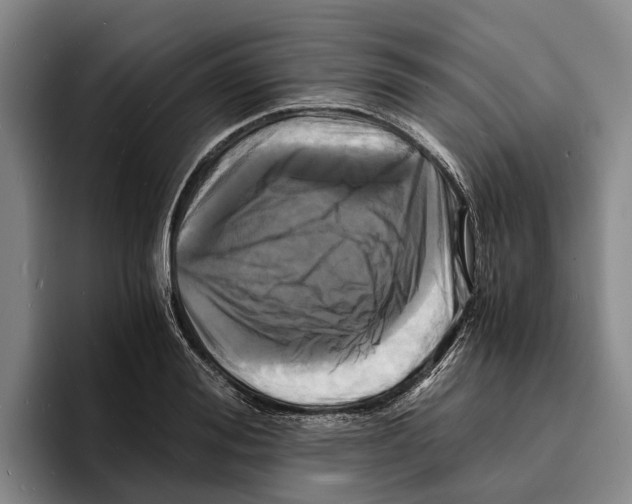 X0000096380988200802211118