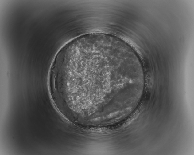 X0000096380991200802211118