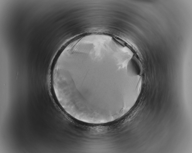 X0000096380992200802211117