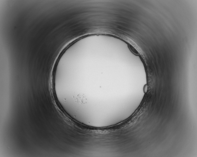 X0000096380996200802211117