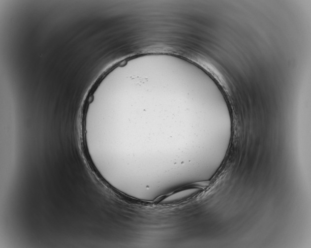 X0000096381000200802211117