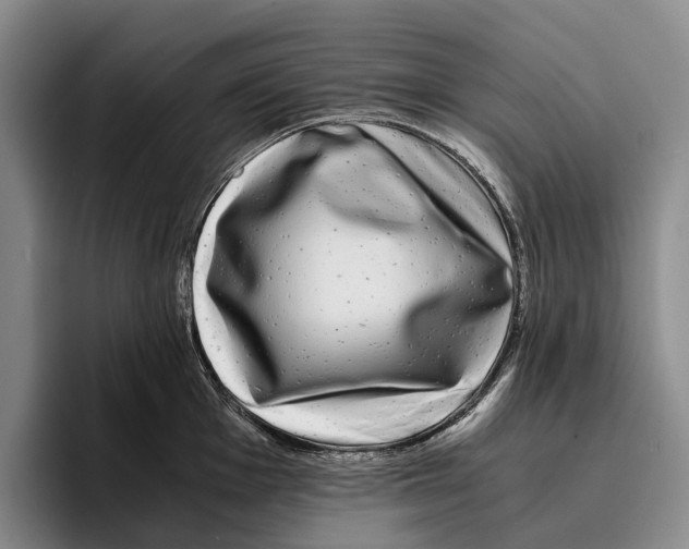 X0000096381001200802211117