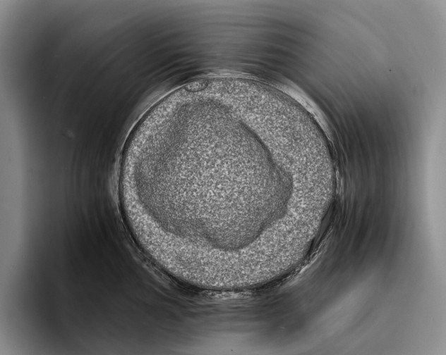 X0000096381002200802211117