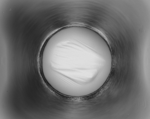 X0000096381003200802211117