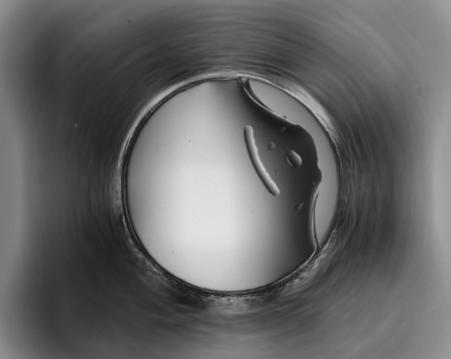 X0000096381004200802211117