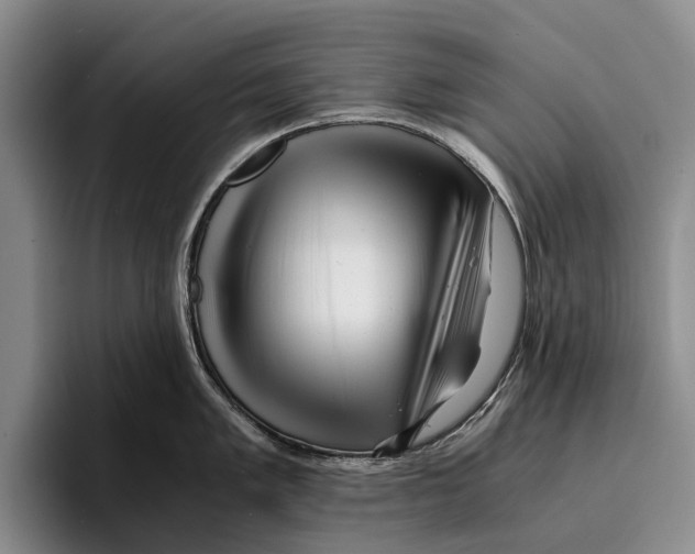 X0000096381005200802211117